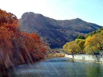 澳门二四六天天彩图库，淅川seo